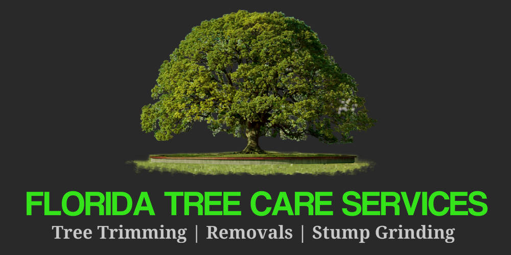 Florida Tree Care Services Ormond Beach Florida